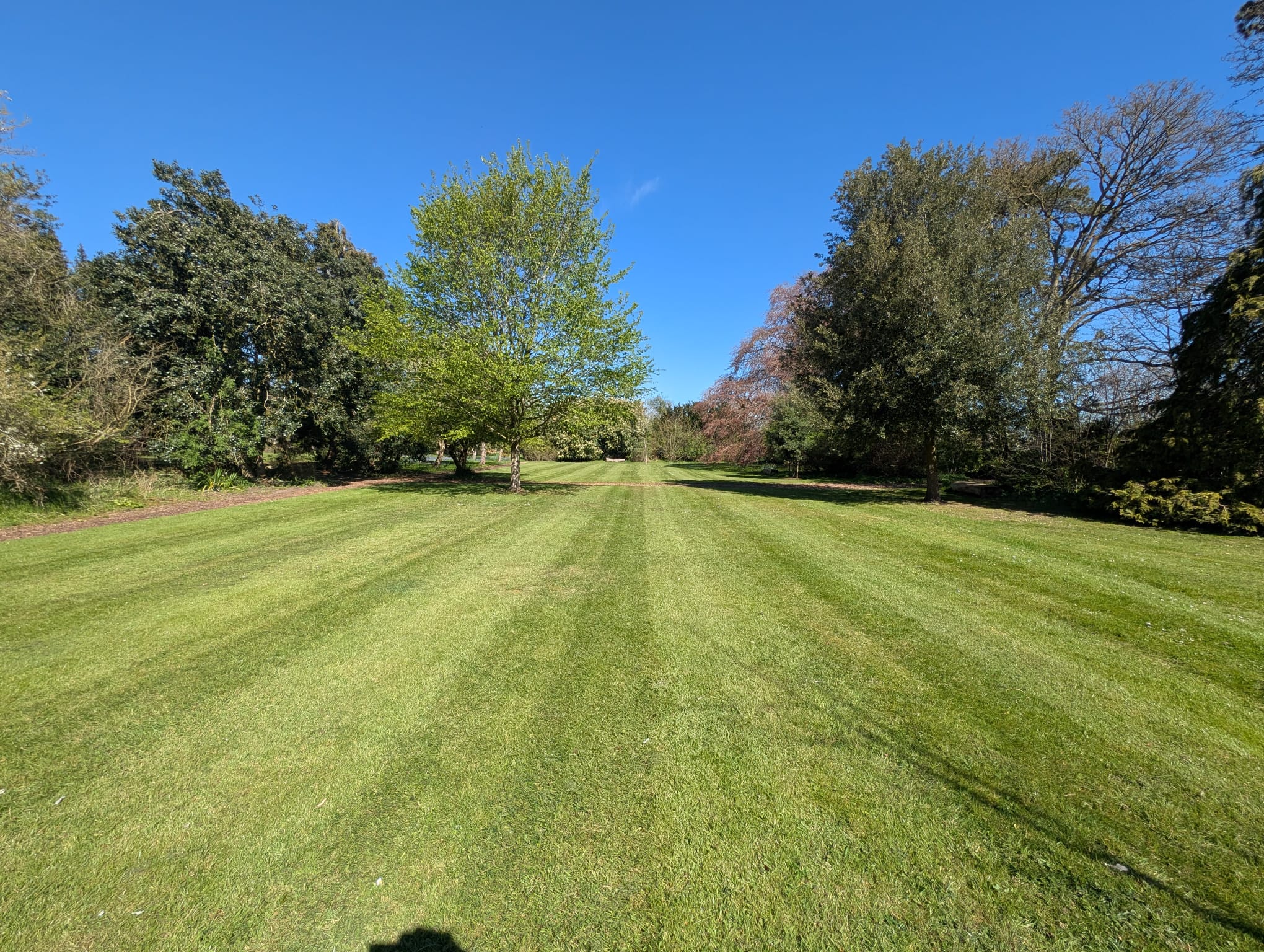 Routine Grass Cutting
